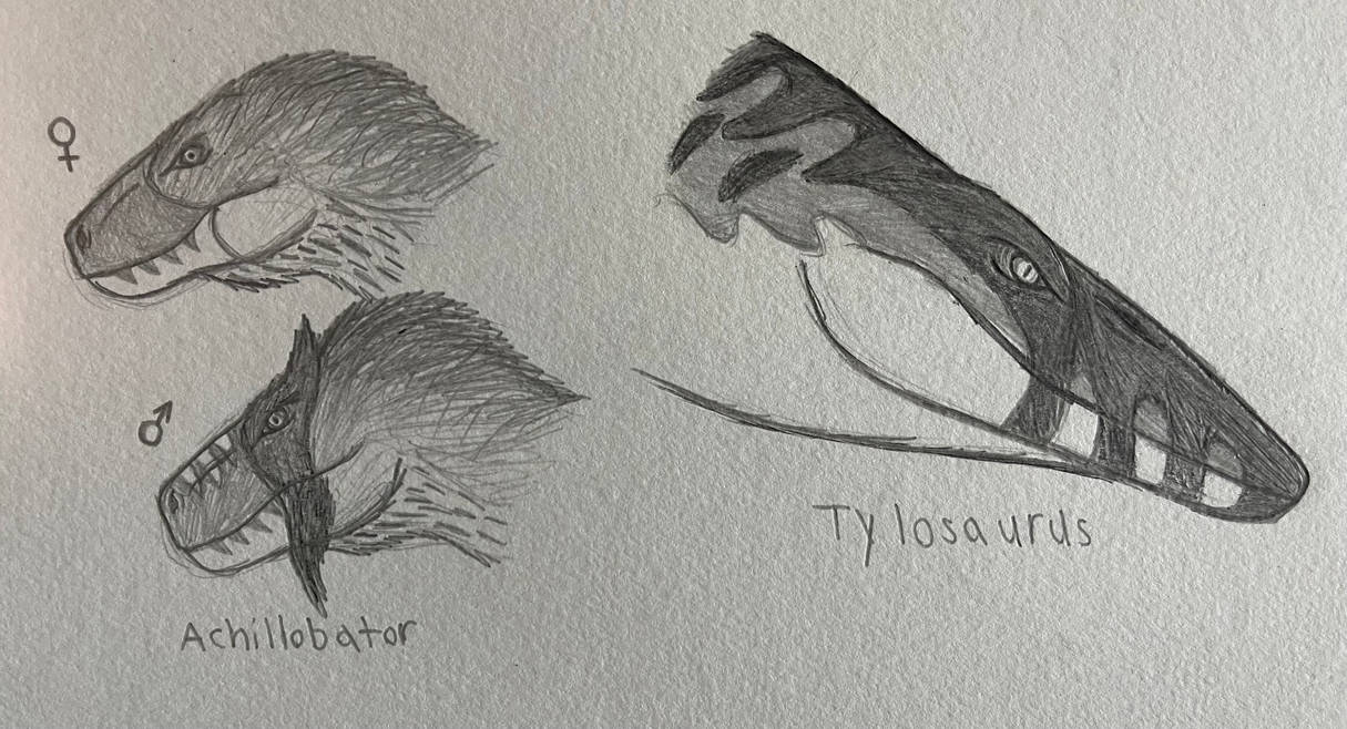 Insectosaurus Drawing Dinosaur project concept sketches by KingGiganoto5 on DeviantArt