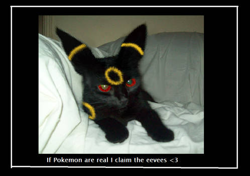 If Pokemon are real I claim all the Eevees