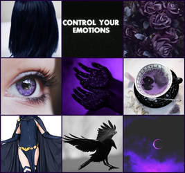 Raven Aesthetic