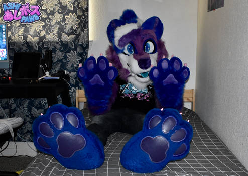 Ashi Fursuit by Gatorspots