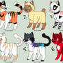 Cat Adoptables (CHEAP)