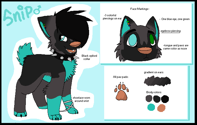 Snip Reference Sheet