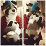 Coon plush