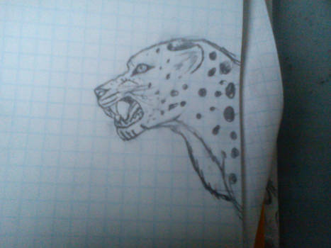 Leopard (with no colors)