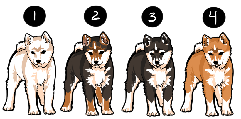 Shiba Adoptable Batch 1 - SOLD