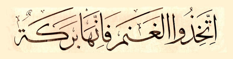 Syukran Jazilan In Arabic - Syukran Jazilan Shafiqolbu : Shareinformasi