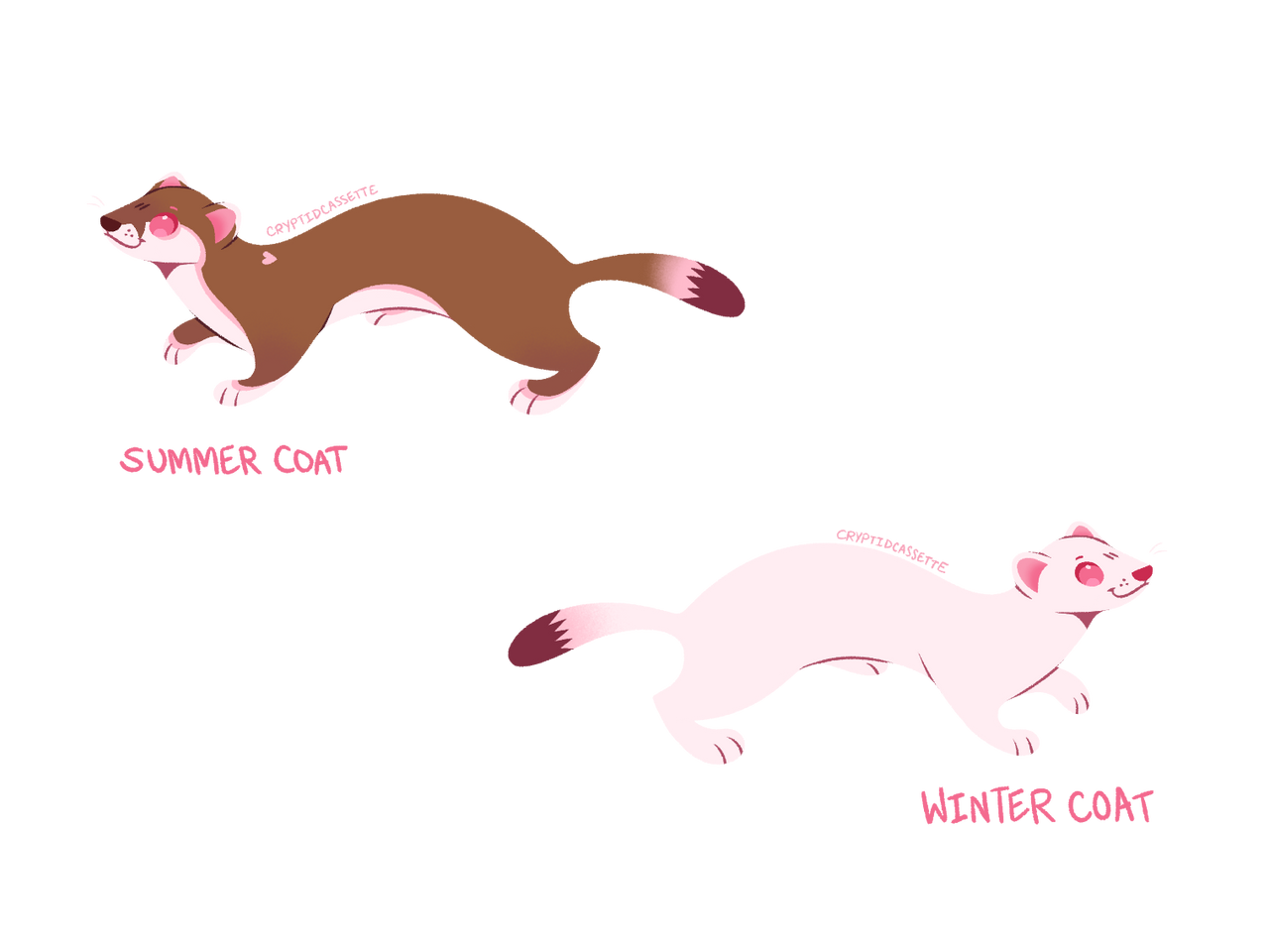 Stoat Rabiit Stoat Adopt $15 AB by cryptidcassette on DeviantArt