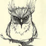 owl sketch