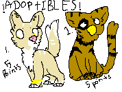 Cat and griffin adoptible