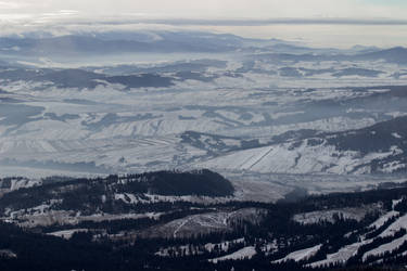 Frosty fields