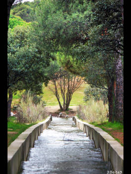 Paso de agua | Water crossing