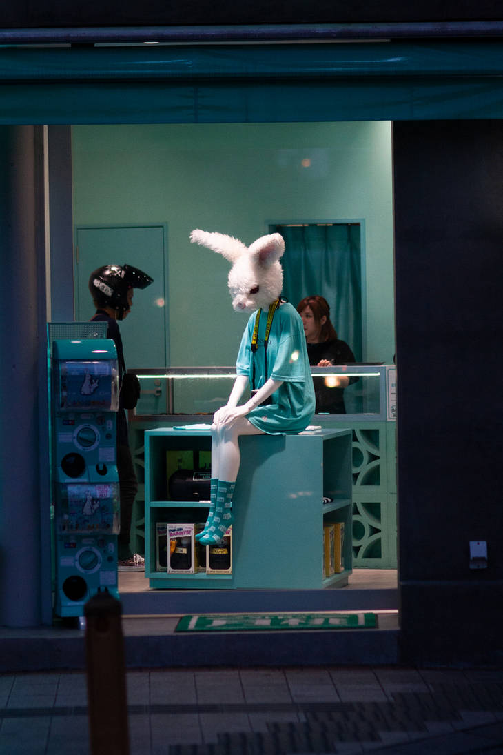 Silly Rabbit by nilfgaad on DeviantArt