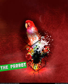 The Parrot