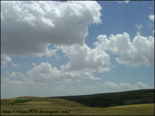 a lawn of clouds