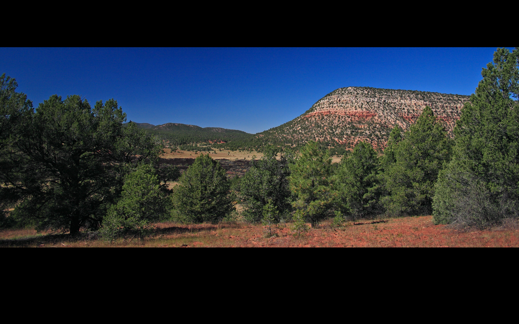 Zuni Canyon IV