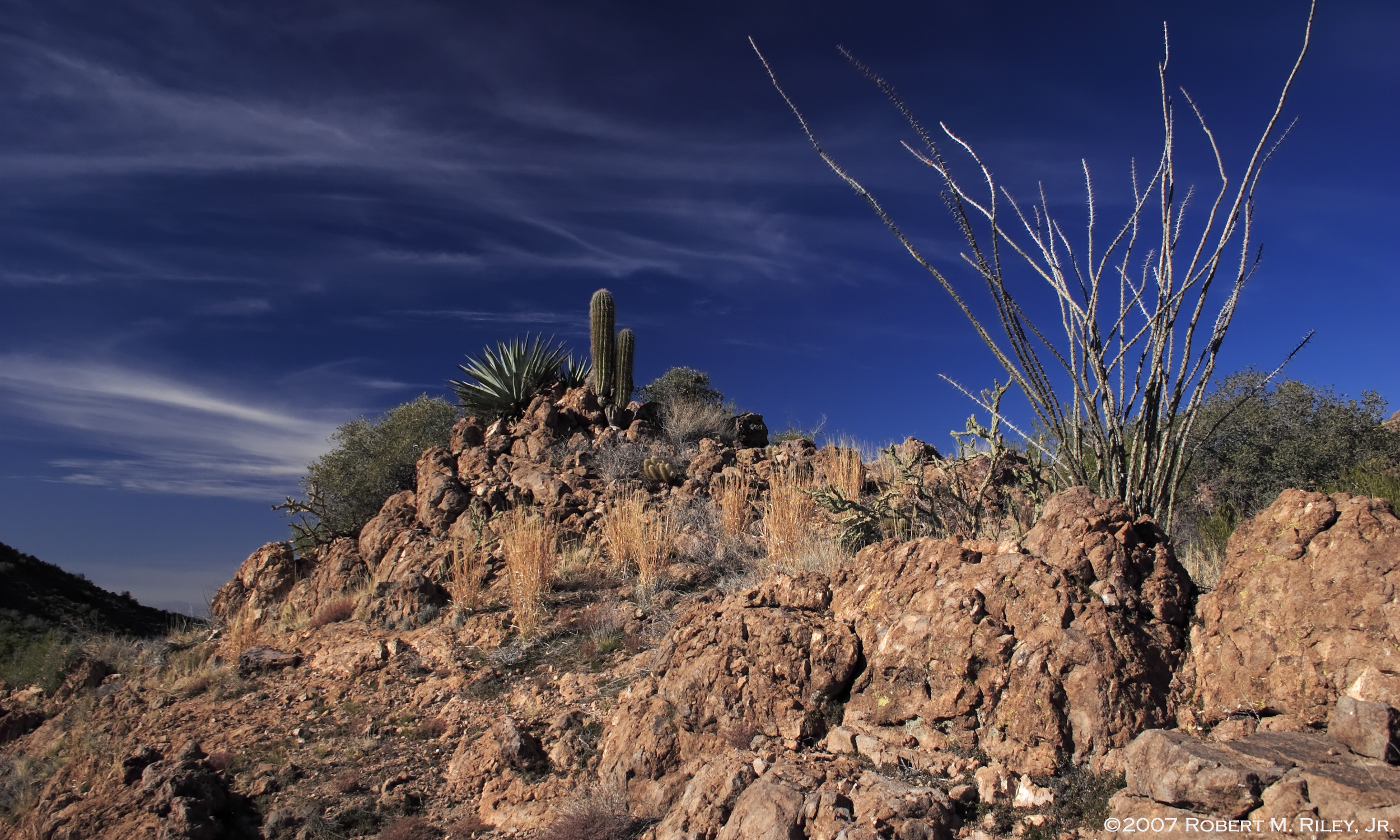 Super. Sky, Rock, Cactii Print