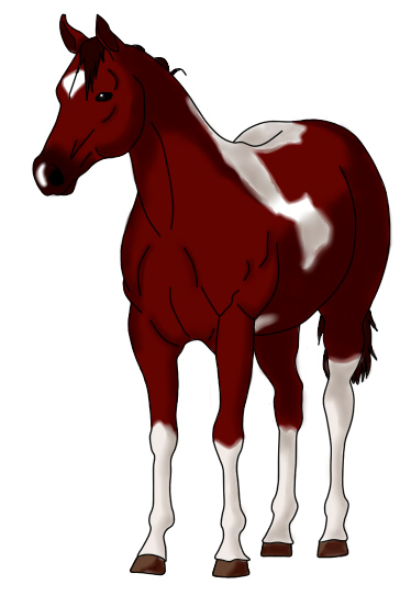 Caballo cuarto de milla by Wvaquera on DeviantArt Caballo cuarto de milla by Wvaquera on DeviantArt