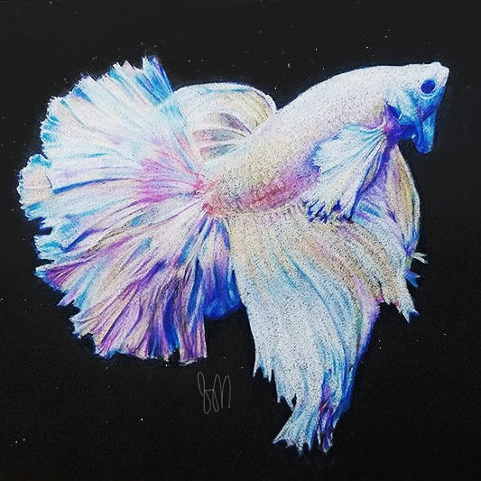 Betta Fish