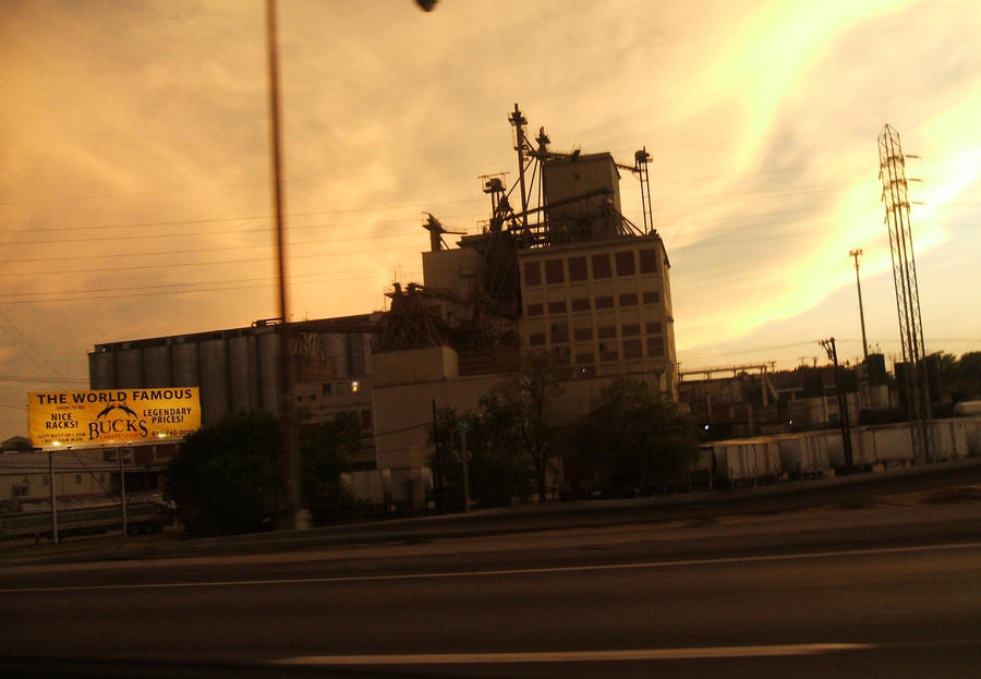 Nice Racks by CoyotesRFun4U on DeviantArt