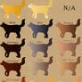 Cat Pelt Colors Guide