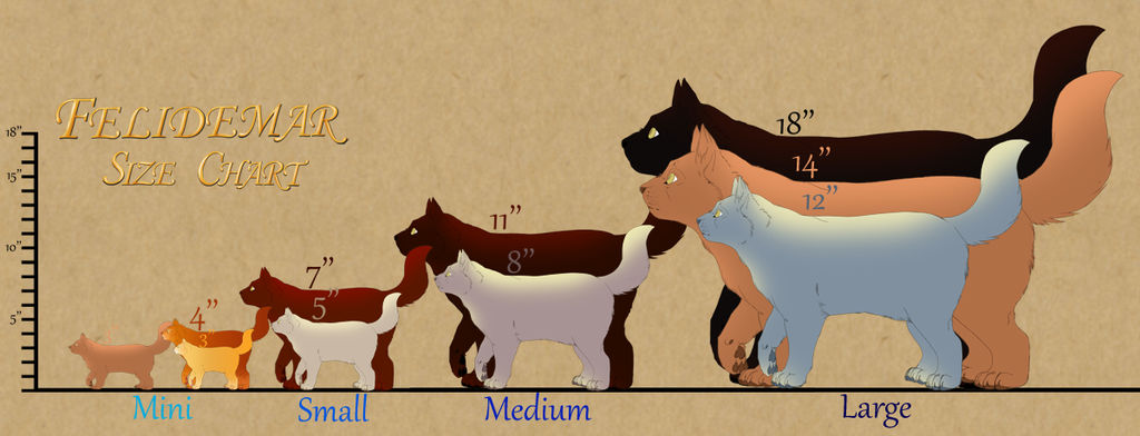 Felidemar Cat Size Chart by lilwyverngirl on DeviantArt