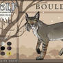 Boulder Bobcat App
