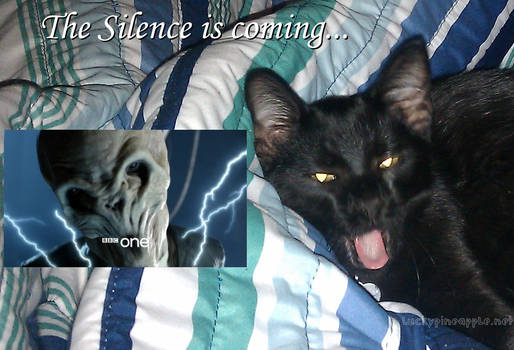 Silence kitty