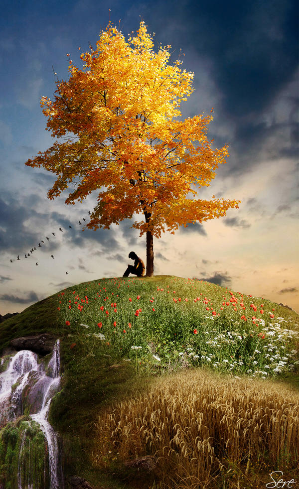 Idyll by Olgola Idyll by Olgola