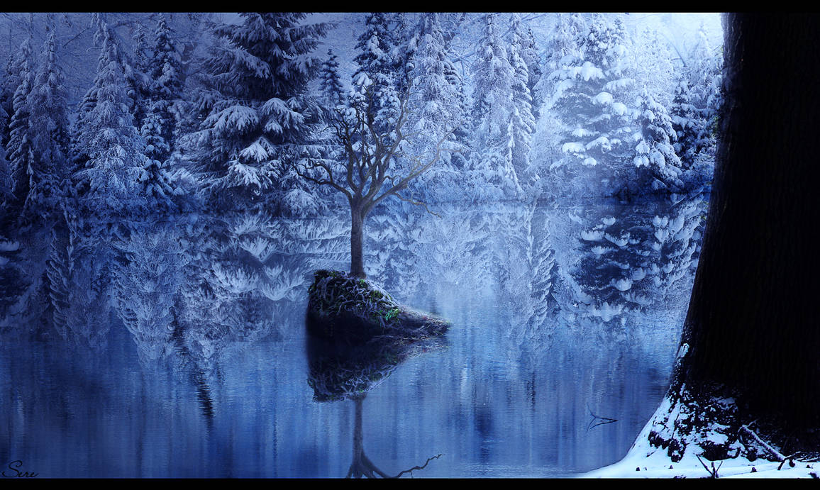 Hidden - Winter by Olgola Hidden - Winter by Olgola