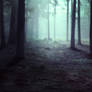 PREMADE - Misty forest