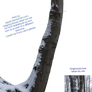 Winter Tree - PNG