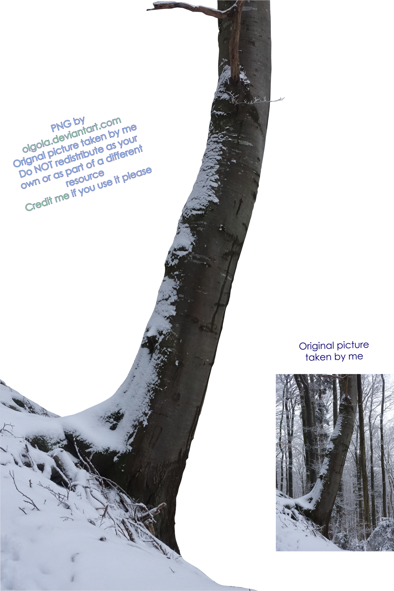 Barren Winter Tree PNG Stock Photo 0131 Orig by annamae22 on DeviantArt