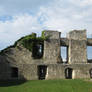 Castle wall ruin