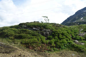 Cliff with grass