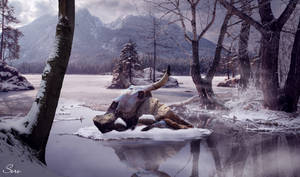 Ice age