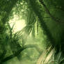 In the jungle