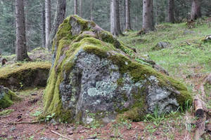 Big mossy rock