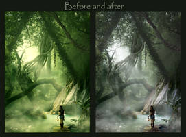 Before and after - In the jungle