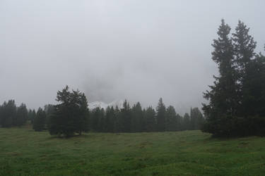 Foggy forest with mountain 02