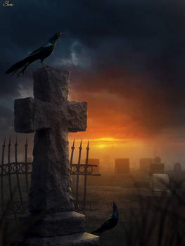 Sunset at the graveyard