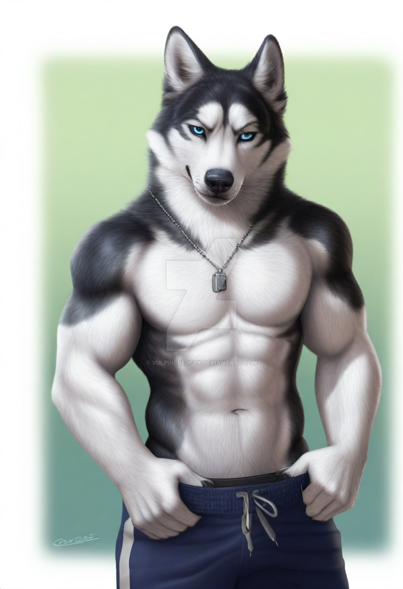 Husky Deviantart Siberian Husky by VulpineRedFox on DeviantArt