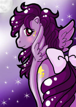 Night Sky The Pony