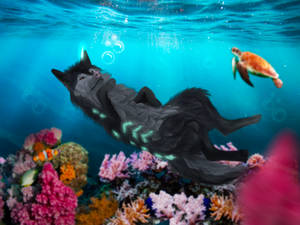 Underwater Dreaming