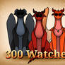 300 Watcher DTIYS (Open)