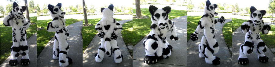 Diederot Fursuit