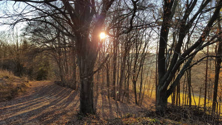 Long Shadows