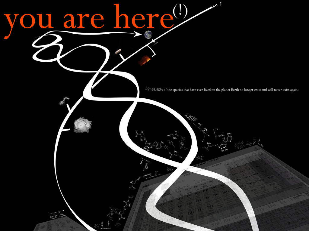 You Are Here