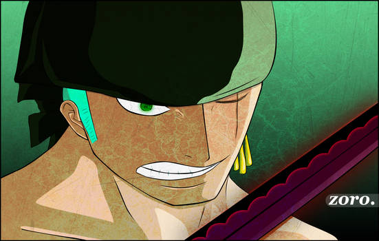 Zoro's New World