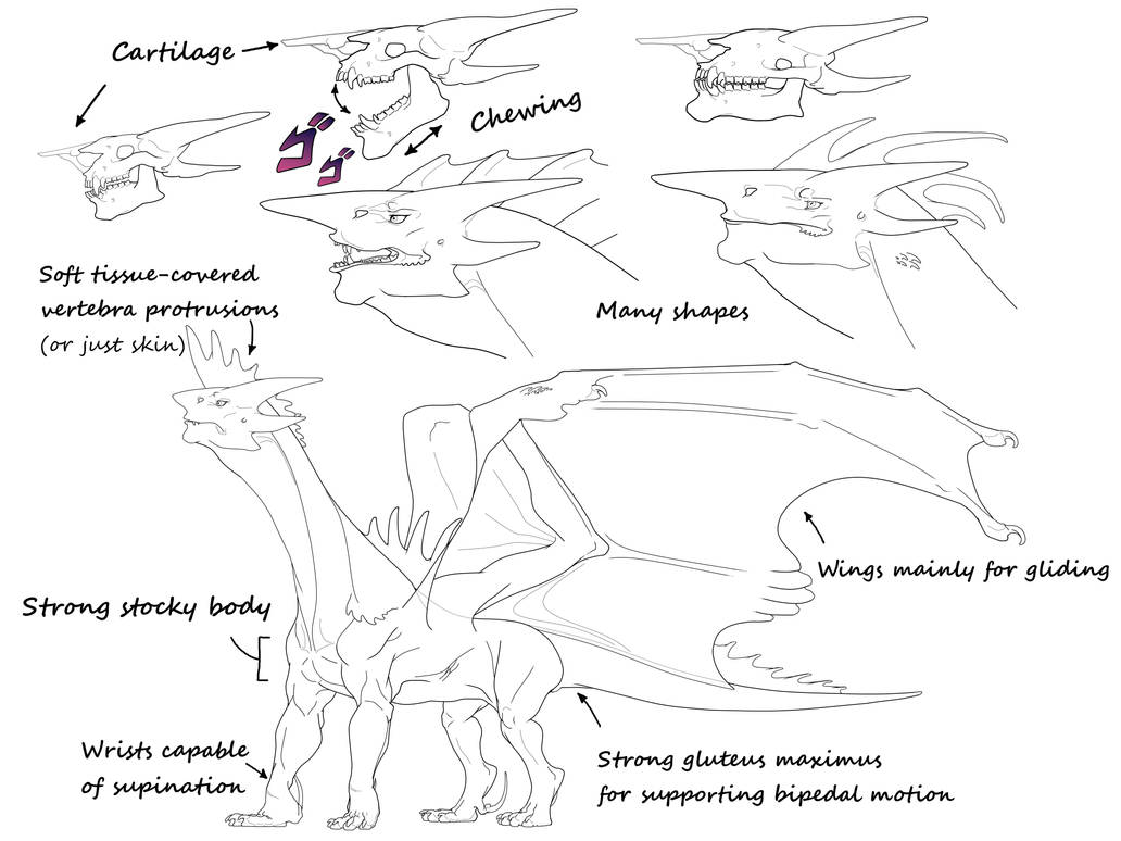 Avatar For Ridgeback Ridgeback Study by DefunctBattery on DeviantArt