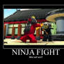 Ninja Fight